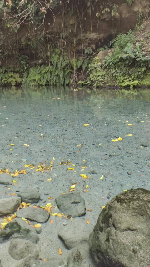 The Atmosphere at The Natural Spring Stock Footage 313772000
