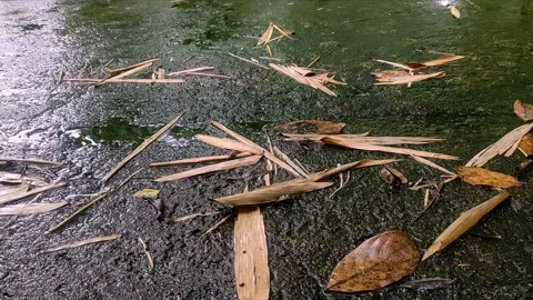 Atmosphere of raindrops in the afternoon Stock Footage 309562343