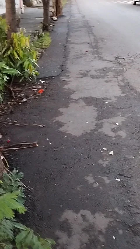 The atmosphere on the side of the road is quiet Stock Footage 226728023