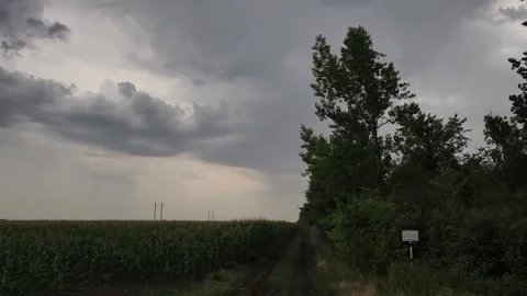 Atmosphere of silence Stock Footage 316805531