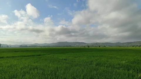 Atmosphere of white clouds in the blue sky Stock Footage 312354779