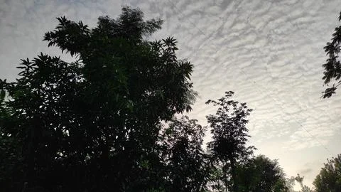 Atmosphere of white clouds in the blue sky Stock Photos