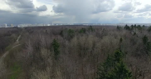 Atmospheric Aerial flying over Bitsa park moscow with trees Stock Footage 159201081