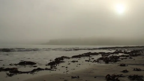 Atmospheric beach with lapping waves weak sun and fog Stock Footage 73273930