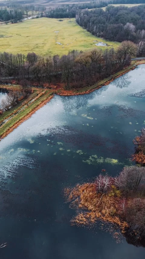 Atmospheric, cinematic drone flight vertically over breeding ponds Stock Footage 324762927