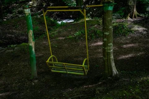 Atmospheric Forest Swing Bench Surrounded by Trees and Woodland Shadows. 库存照片