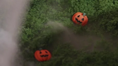 Atmospheric Halloween background with mini pumpkins on cobweb moss Stock-Footage 342520357