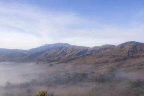 Atmospheric landscape of East Java with ethereal fog moving through trees. Stock Photos