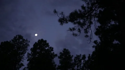 Atmospheric moon in the clouds Stock Footage 93995988