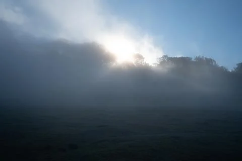 Atmospheric scene with sun rays piercing through heavy mist, creating a seren Stock-Fotos