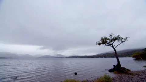 Atmospheric Scottish Loch 库存影片 116719650