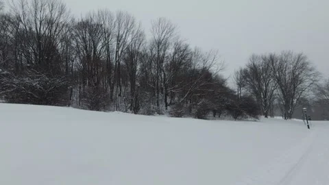 Atmospheric Snowfall In Quiet Winter Forest Stock Footage 323423512