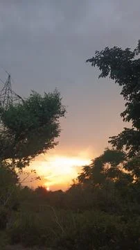 Atmospheric Sunset Glow Behind Clouds with Tree Silhouettes Stock-Fotos