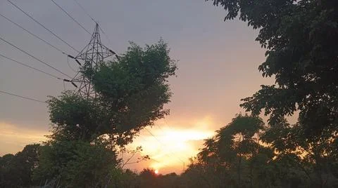 Atmospheric Sunset Glow Behind Clouds with Tree Silhouettes Stock Photos