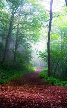 Atmospheric Trail Stock Photos