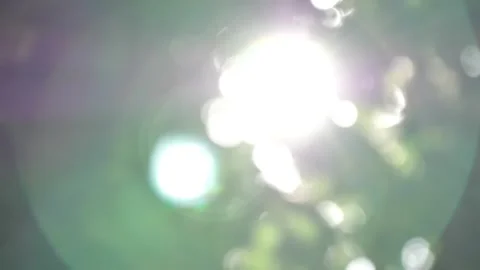 Atmospheric video out of focus Stock Footage 204990923