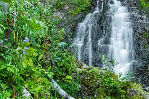 Atmospheric view of waterfall on river in rainforest. Swift stream among rock Stock Photos
