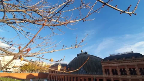 Atocha Renfe station seen from the outside next to a tree. wide angle Spain Stock Footage 224872036