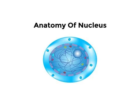 Atom Scientific poster with atomic structure Illustrazione stock