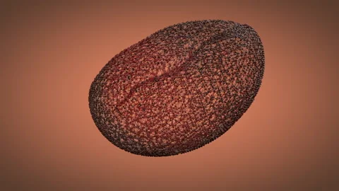 Atomic grating of coffee beans. 3d animation Stock Footage 138168347