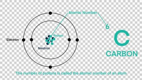 Atomic number, element on periodic table, carbon parts, chemical symbol Stock Illustration