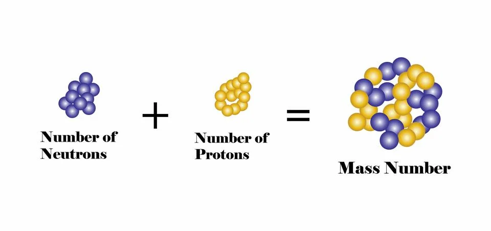 Atomic structure atomic, number is the number of protons in an atom Illustrazione stock