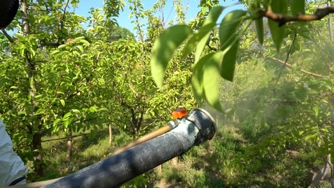 Atomizing Spray Nozzle Spraying Orchard in Slow Motion - Close Up Shot Video stock 129624043