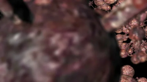 Atoms and Molecules in a 3D animation Stock Footage 241567119
