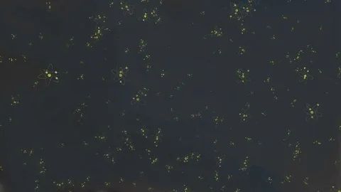 Atoms, particles rapid seamless background. 4K @60 fps Stock Footage 70485142