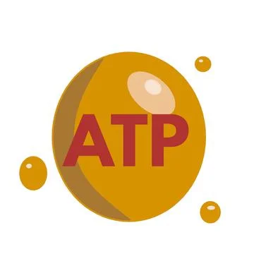 ATP molecule representation rd color substance  molecule compound  - 1 Stock Illustration