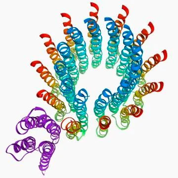 ATP synthase molecule Stock Illustration