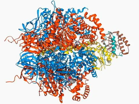ATPase molecule Stock Illustration