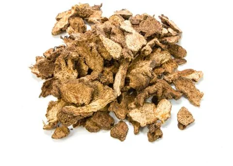 Atractylodes lancea on white background Stock Photos