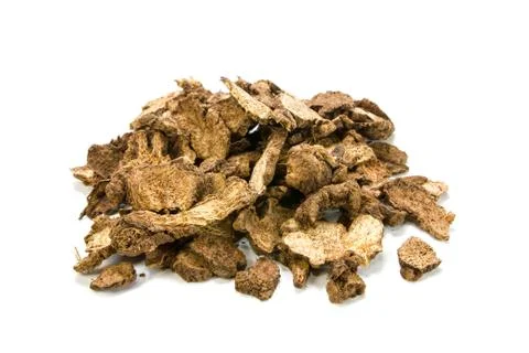 Atractylodes lancea on white background Stock Photos