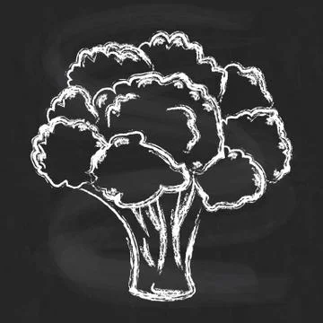 Atristic hand drawn vector illustration of broccoli Stock Illustration
