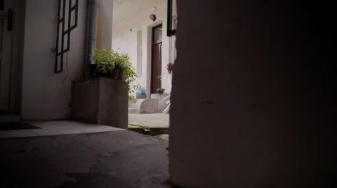 The atrium inside the old house. In the autumn. Stock Footage 68833852
