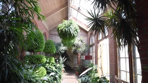 AtriumHD01 Video stock 168363870