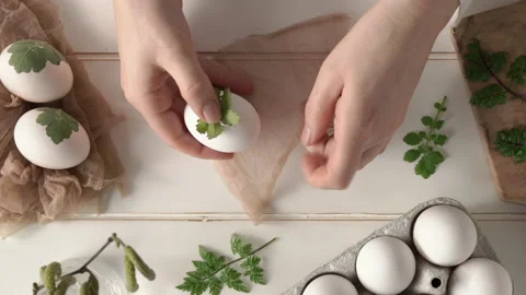 Attaching fresh herbs to Easter eggs with old stockings - preparation for dyeing Stock Footage 171991600