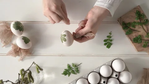 Attaching fresh herbs to raw Easter eggs - preparation for dyeing Stock Footage 171942684