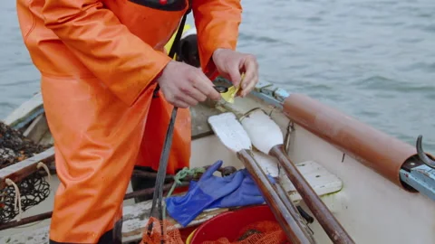 Attaching label bag designated MPA MCZ status Cornwall IFCA Fal Oyster Fishery 스톡 동영상 171320886