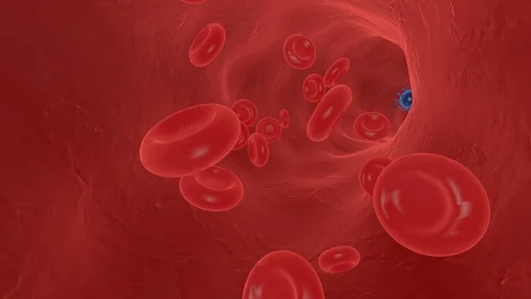 Attack Coronavirus Covid 19 Inside An Artery With Red Blood Cells Stock Footage 128237909