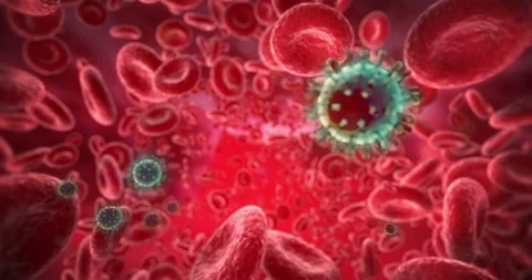Attack of Viruses on the Circulatory System. Coronaviruses Moving Inside Artery. Stock Footage 129096987
