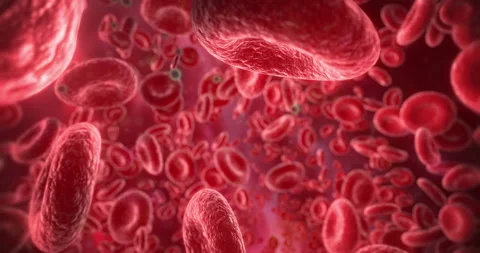 Attack of Viruses on the Circulatory System. Coronaviruses Moving Inside Artery. Stock Footage 129098093