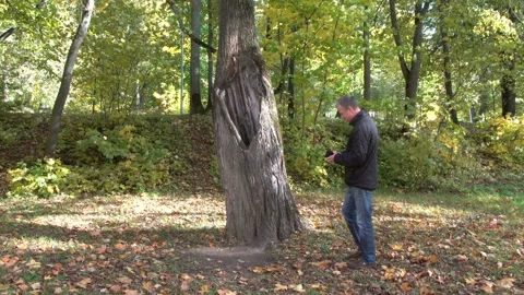 Attacked Wasps Video stock 97358362