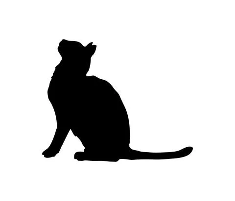 An attentive cat. Solid, plausible silhouette. Sit and wait for food. Stock Illustration
