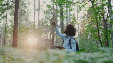 Attentive Focused Biologist Working in Forest. Concept of Environment and Stock Footage 148550577