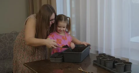 Attentive mother teaching her curious young daughter how to fill seedling pots Stock Footage 334335400