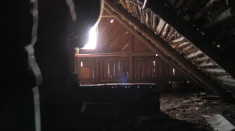 In the attic Vídeo Stock 12259613