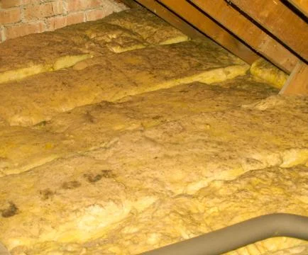 Attic Mould Stock Photos
