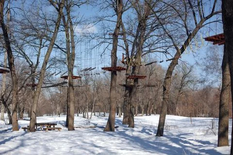 Attraction in trees. Entertainment complex located on trees in t forest Stock Photos